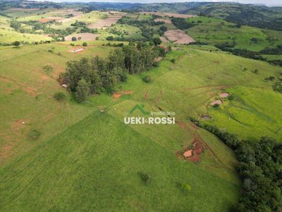 Fazenda, 242 hectares - Foto 4