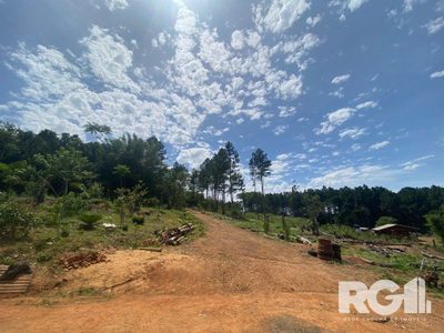 Chácara, 2 quartos, 2 hectares - Foto 4