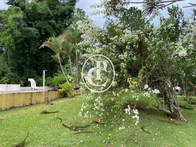 Chácara, 2 quartos, 3600 m² - Foto 4