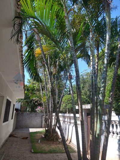 Casa, 4 quartos - Foto 5