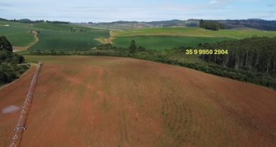 Fazenda, 2080 hectares - Foto 3