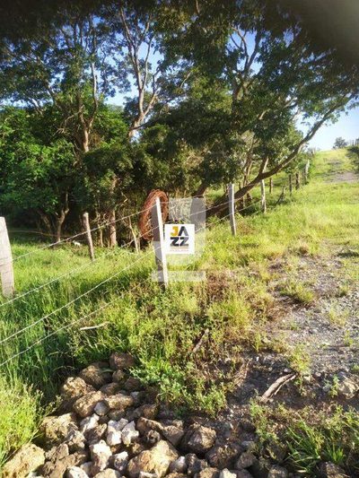 Sítio, 3 hectares - Foto 4