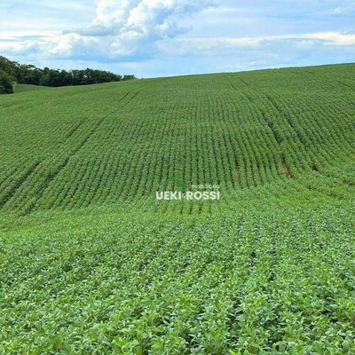 Fazenda, 145 hectares - Foto 1
