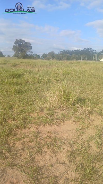Terreno, 1400 m² - Foto 3