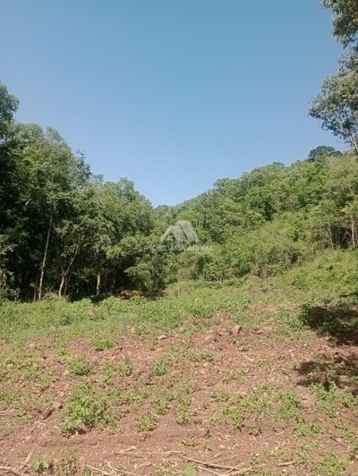 Terreno, 2 hectares - Foto 3