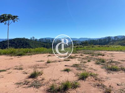 Terreno, 3 hectares - Foto 4