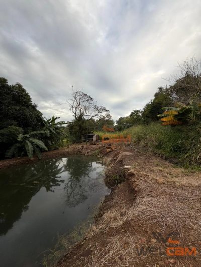 Terreno, 3600 hectares - Foto 3