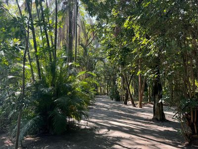 Casa, 4 quartos, 153 m² - Foto 2