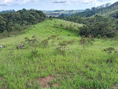 Fazenda, 179 hectares - Foto 2