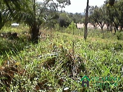 Terreno, 1080 m² - Foto 3