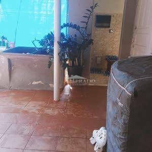 Casa, 2 quartos, 100 m² - Foto 4