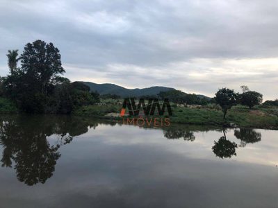 Fazenda, 2725 hectares - Foto 5