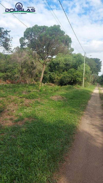 Terreno, 2000 m² - Foto 5
