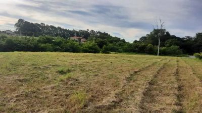Terreno, 319 m² - Foto 1