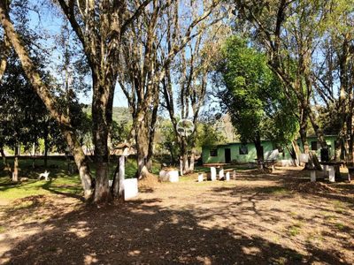 Chácara, 4 quartos - Foto 1