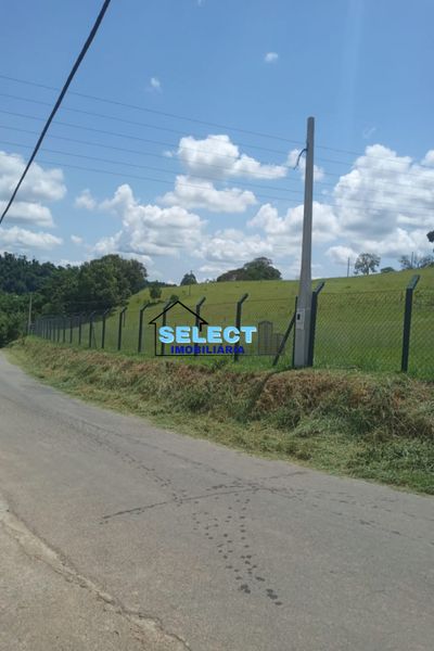 Sítio, 3 hectares - Foto 4