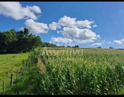 Terreno, 57 hectares - Foto 3