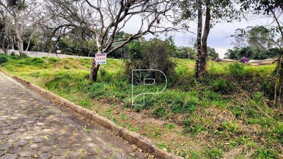 Loteamento e Condomínio, 2836 m² - Foto 5