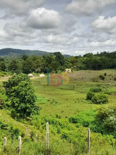 Sítio, 39 hectares - Foto 1