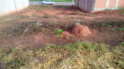 Terreno, 350 m² - Foto 4