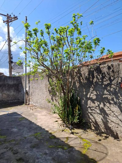 Casa, 3 quartos, 110 m² - Foto 5