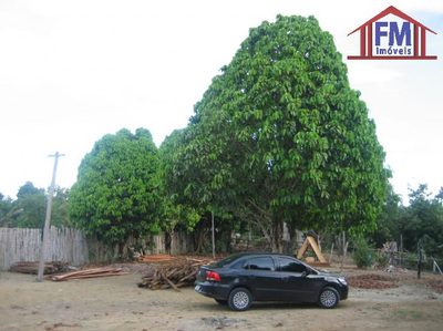 Terreno - Foto 4