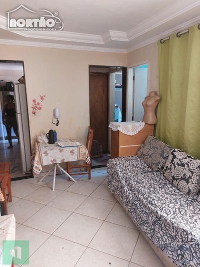 Casa, 4 quartos, 50 m² - Foto 4