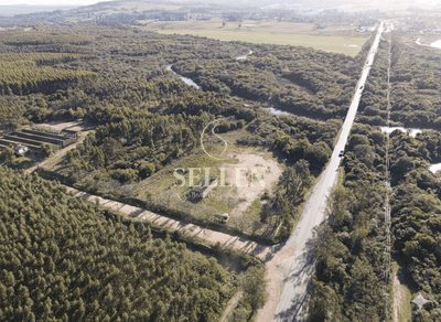 Terreno, 3 hectares - Foto 3