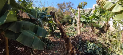 Terreno, 250 m² - Foto 3