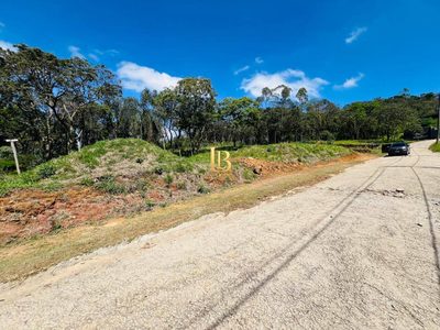 Terreno, 2 hectares - Foto 4
