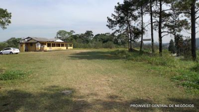 Terreno, 5 hectares - Foto 1