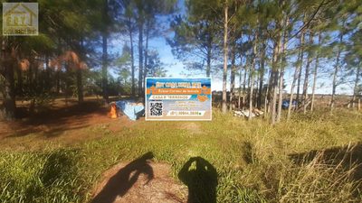 Terreno, 1000 m² - Foto 1