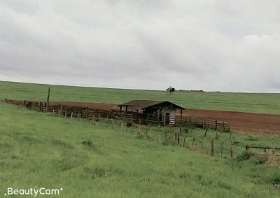 Fazenda, 1165 m² - Foto 5