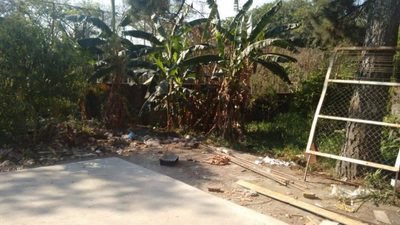 Terreno, 463 m² - Foto 3
