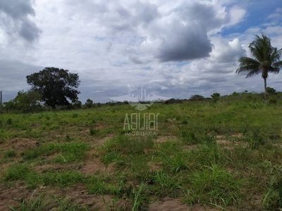 Terreno, 3 hectares - Foto 2