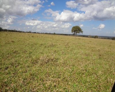 Fazenda, 505 m² - Foto 2