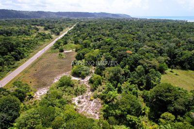 Chácara, 2 quartos, 40 hectares - Foto 4