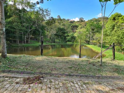 Sítio, 4 quartos, 1060 m² - Foto 3