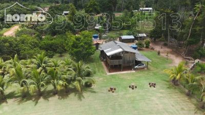 Casa, 40000 m² - Foto 4