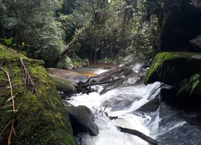 Sítio, 2 quartos, 17 hectares - Foto 4