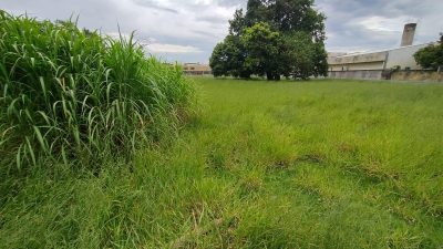 Terreno, 4600 m² - Foto 3