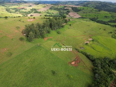 Fazenda, 242 hectares - Foto 5