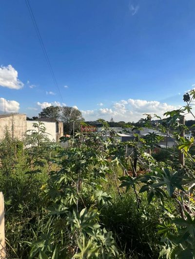 Terreno, 150 m² - Foto 4