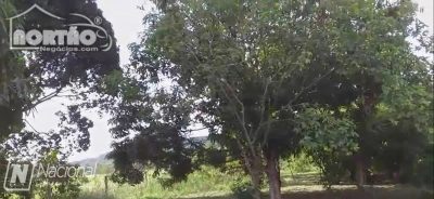 Casa, 1 quarto, 120000 m² - Foto 2