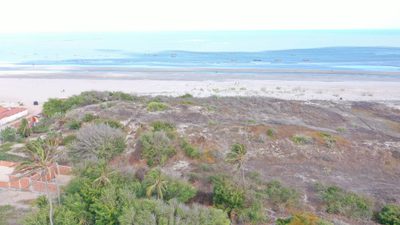 Terreno, 6000 m² - Foto 2