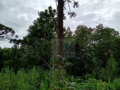 Terreno, 1 hectares - Foto 3