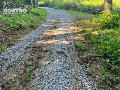 Terreno, 2 hectares - Foto 4