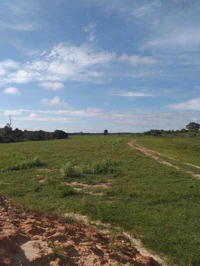 Terreno, 670 m² - Foto 5