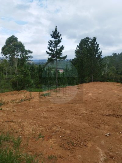 Terreno, 100 m² - Foto 2