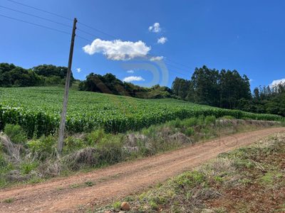 Loteamento e Condomínio, 4 hectares - Foto 4